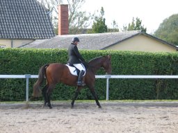 2011 Sommerturnering